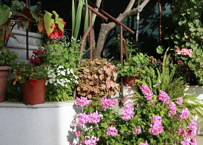 Appartement By The Sea Viganj, Peljesac - 10140 Viganj