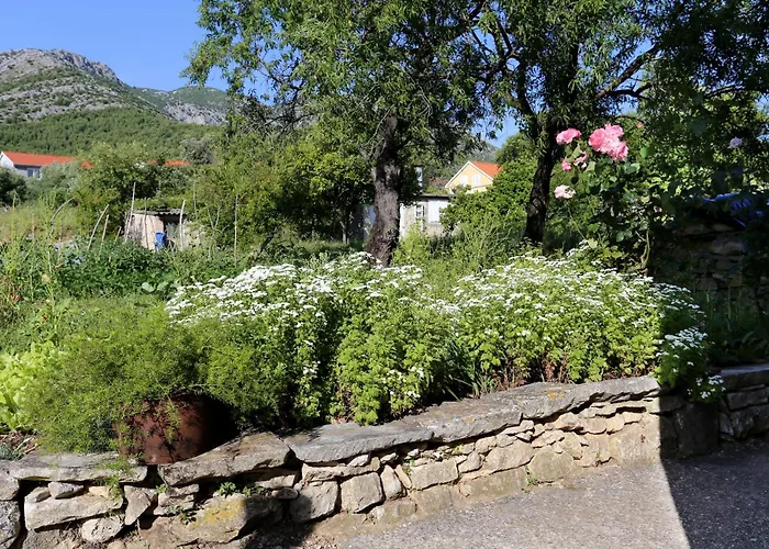 Appartement By The Sea Viganj, Peljesac - 10140 *