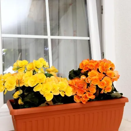 By The Sea Viganj, Peljesac - 10140 Viganj