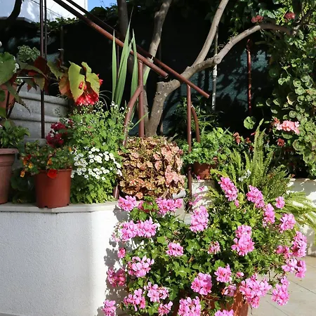 Apartment By The Sea Viganj, Peljesac - 10140 Viganj