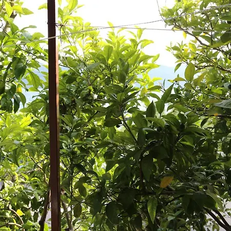 By The Sea Viganj, Peljesac - 10140 * Viganj