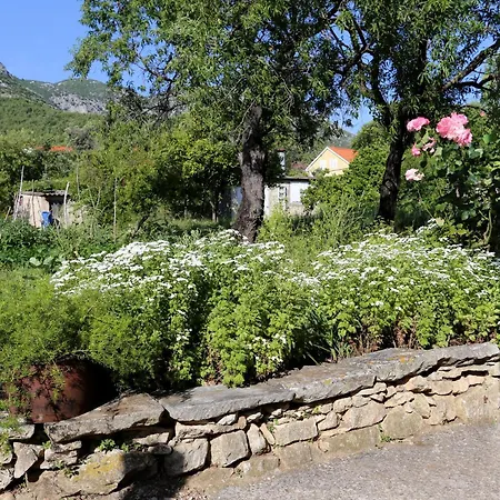 Apartment By The Sea Viganj, Peljesac - 10140 *