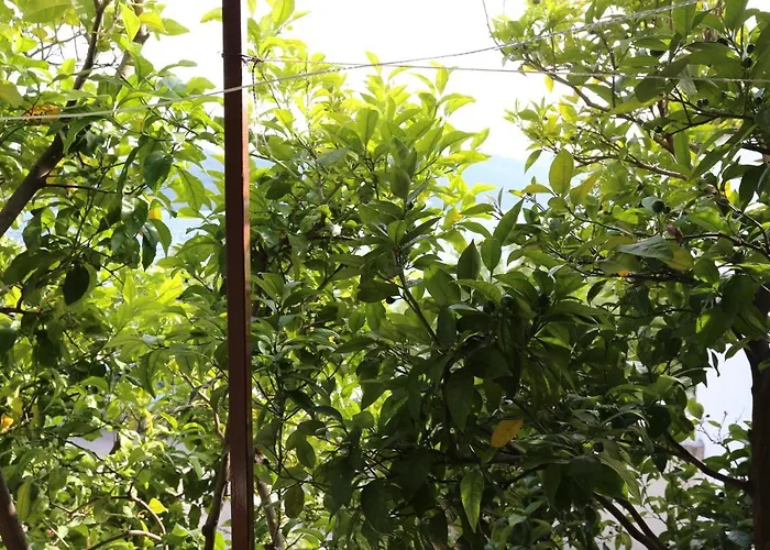 By The Sea Viganj, Peljesac - 10140 * Viganj